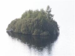 Insel auf Swassersee