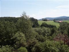 Tal berblick