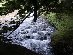 Der Fluss Regen