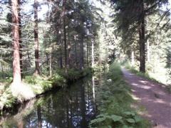 Mhlgraben im Bayerischen Wald