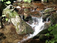 Kleiner Wasserfall der Kinder erfreut