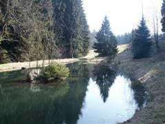 See im Bayerischen Wald