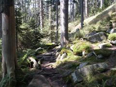 Wanderpfad in der nhe der Grenze