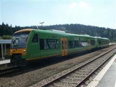 Eine Waldbahn im Bahnhof